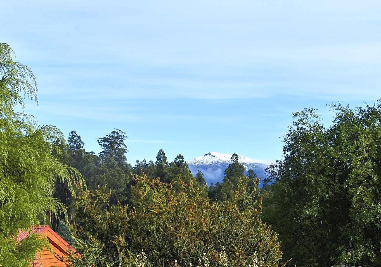 Maydena Mountain Cabins מראה חיצוני תמונה