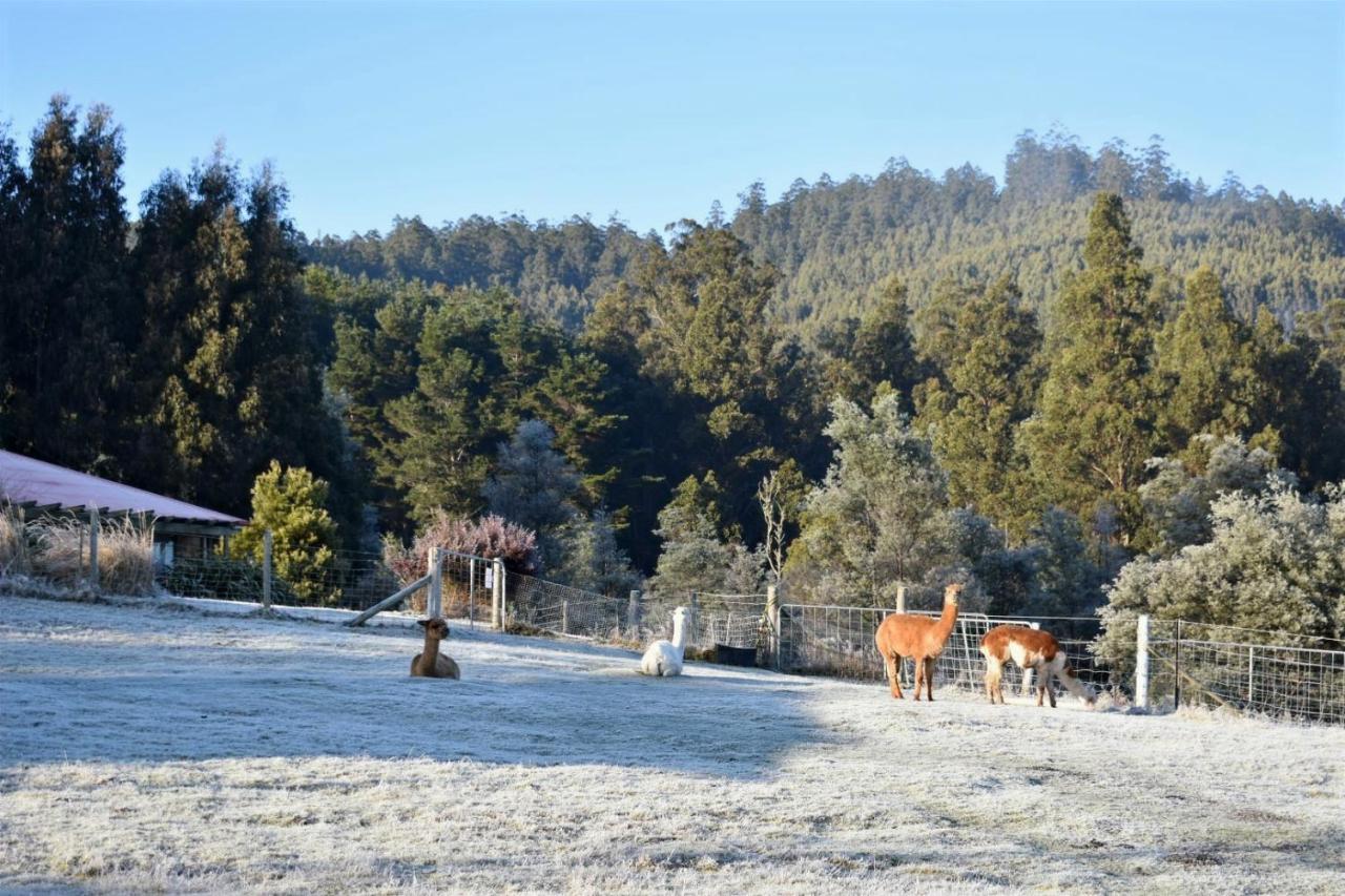 Maydena Mountain Cabins מראה חיצוני תמונה