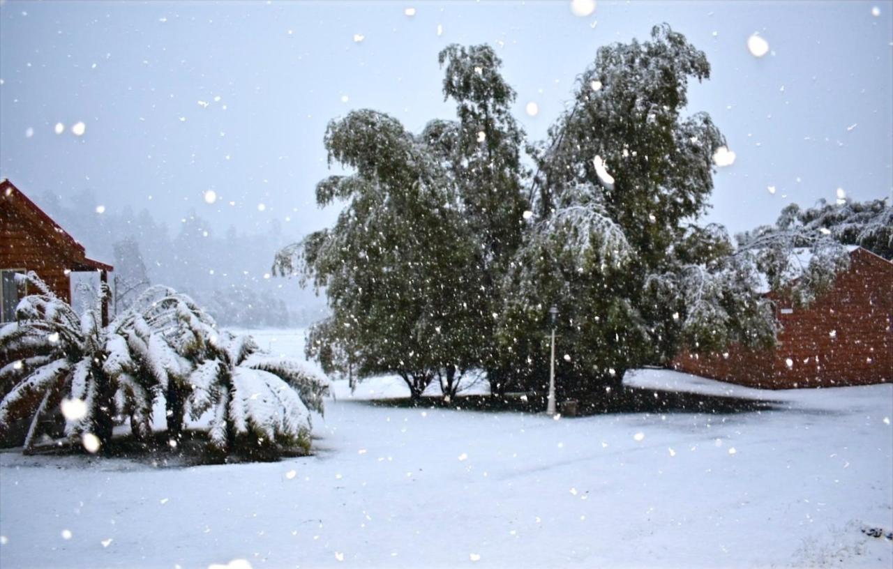 Maydena Mountain Cabins מראה חיצוני תמונה