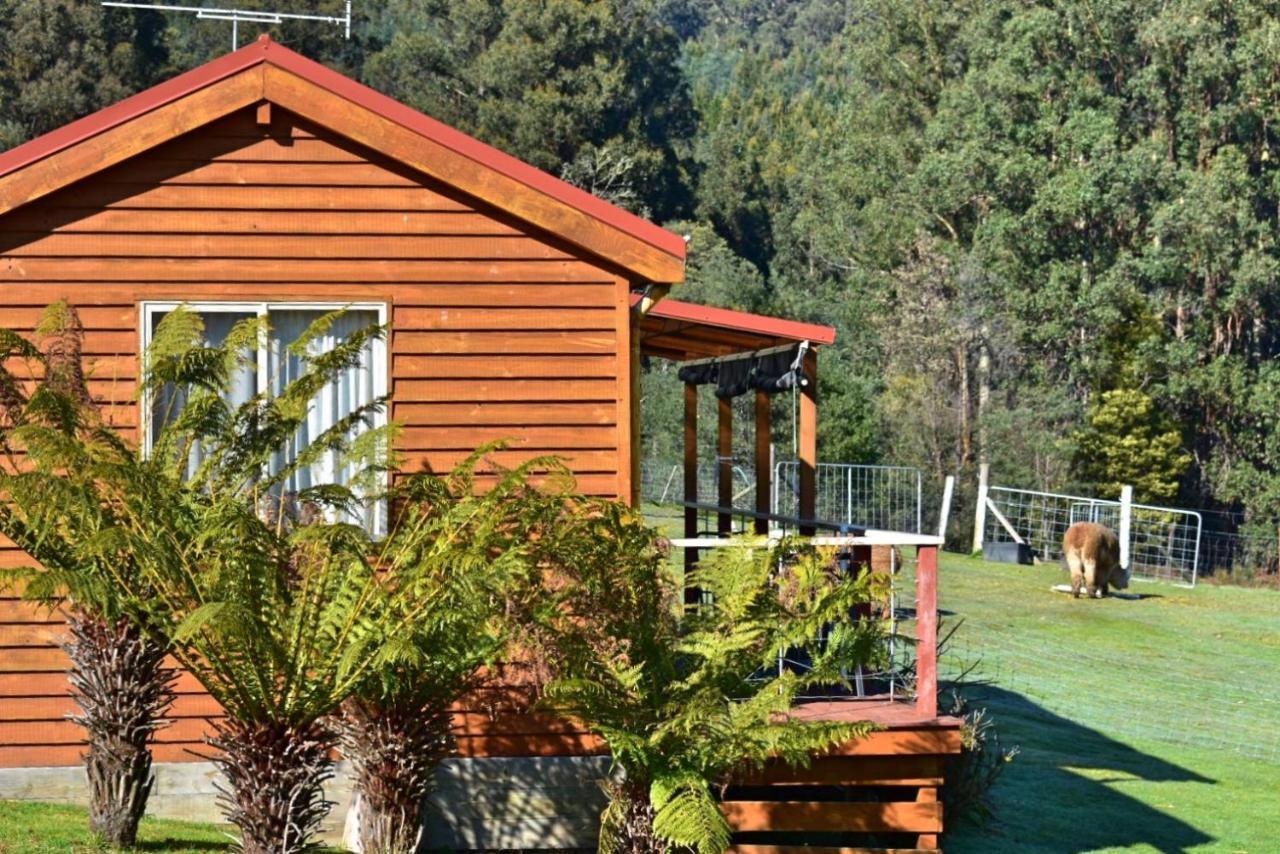 Maydena Mountain Cabins מראה חיצוני תמונה