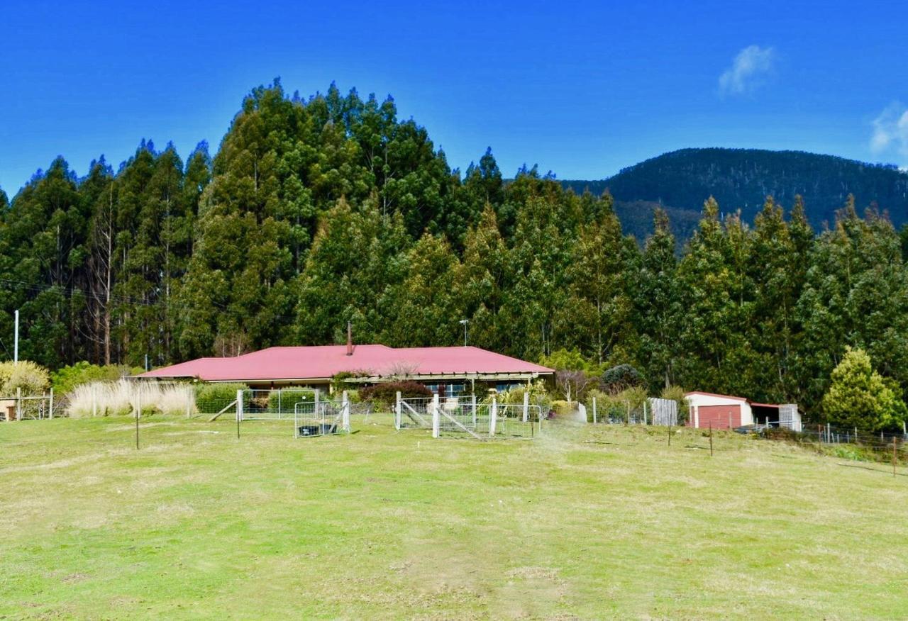 Maydena Mountain Cabins מראה חיצוני תמונה
